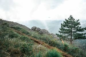 BIB: 
                            <button type="button" onclick="openModal(26000318)" class="btn btn-primary btn-sm float-right btn-popup" data-toggle="modal" data-target=".modal-high-quality">
                        <i class="fas fa-shopping-cart"></i> Add to Cart
                    </button>
                                            <button type="button" onclick="isThisMe(26000318, true)" class="btn btn-success btn-sm float-right btn-popup btn-isme hidden" data-toggle="tooltip" data-placement="bottom" title="นี่คือรูปของคุณใช่ไหม คลิกที่นี่เพื่อเอาเข้าอัลบั้ม">
                        <i class="fas fa-plus"></i> Add to album
                    </button>
                    <button type="button" onclick="isThisMe(26000318, false)" class="btn btn-warning btn-sm float-right btn-popup btn-isnotme hidden">
                        <i class="fas fa-ban"></i> Remove from album
                    </button>